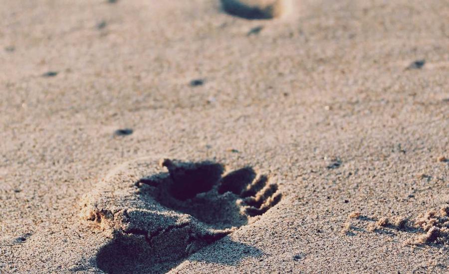 Flyer Design